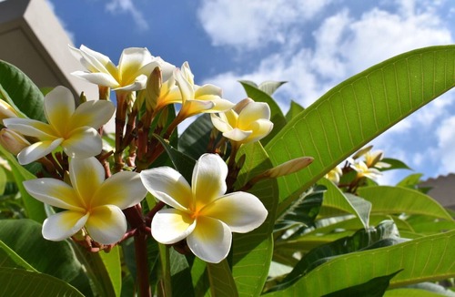 Stalida Apartment | Beautiful apartment for 4 guests with WIFI, A/C, TV, terrace and parking