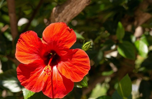 Stalida Apartment | Beautiful apartment for 4 people with WIFI, A/C, TV, terrace and parking