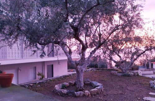 Paralia Vergas Apartment | Blue Yard Apartments