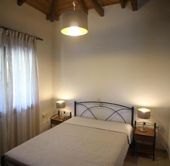 Terpsithea House | Boletus MushROOM