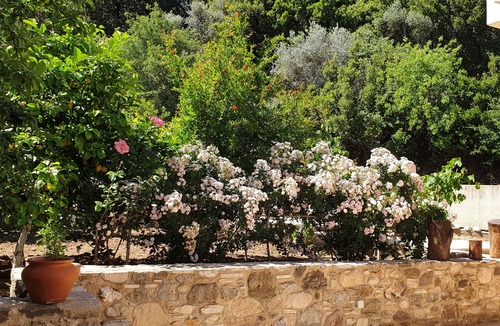 Kos House | Chaihoutes stone House into Olive farm in Zia