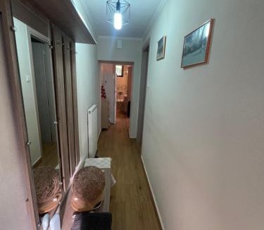 Central Tzoumerka Apartment | Christo's Place Katarraktis Artas
