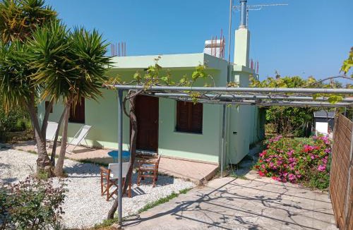 Kamisiana House | Citrus Tree Garden House
