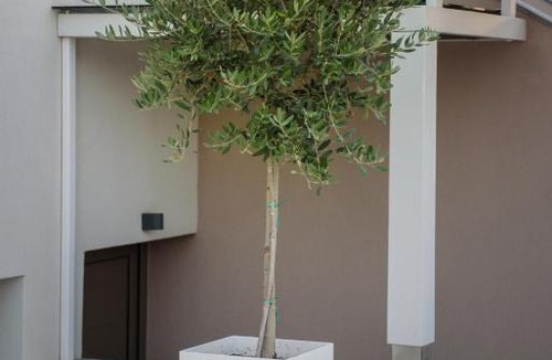 Ierissos House | Corali luxury villas
