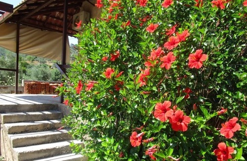 Loutraki-Agioi Theodoroi House | Countryside house
