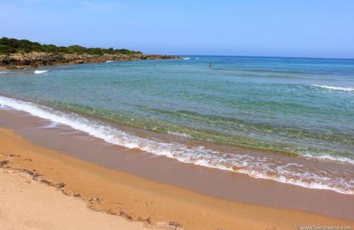 Gargaliani Apartment | Cozy flats in an olive grove by the sandy beach