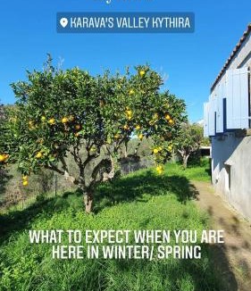 Karavas House | Diamoni Afroditi two houses for max 6 persons