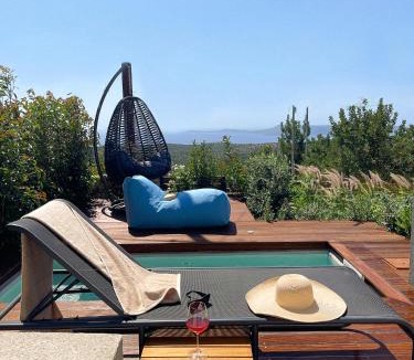 Pylos-Nestoras Villa | Dimeli - Sea View Villas in Foinikounta