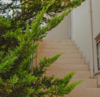 Daratsos Apartment | Elena Apartments