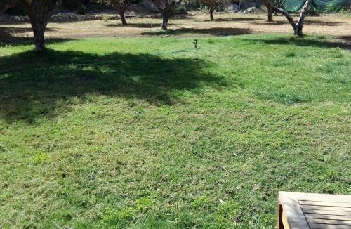 Sitia Villa | Elisavet sports villa