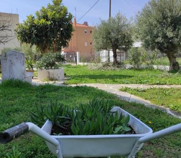 Paralia Ofryniou House | Elizabeth's apartment2