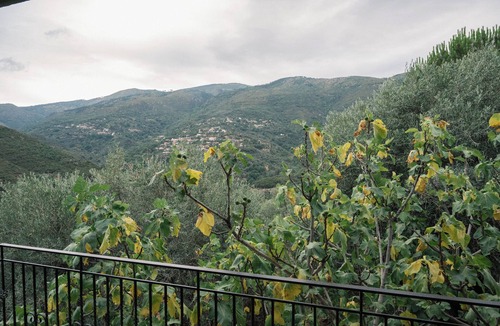Artemisia House | Endless Green: Tranquil Mountain Retreat with Breathtaking Views