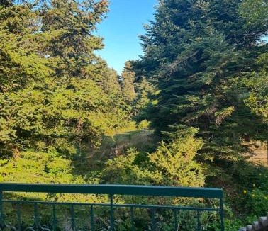 Central Tzoumerka House | Forest cottage top of the world