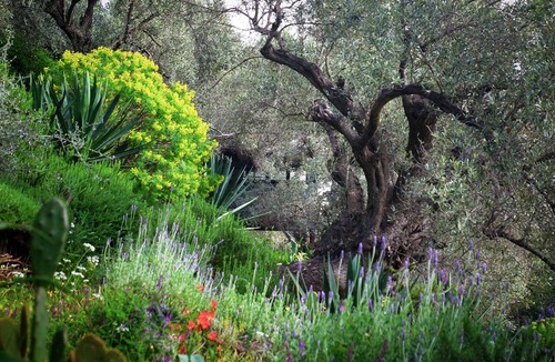 Milina Cabin | Happinest Treehouse - A magical cabin by the sea with amazing views.