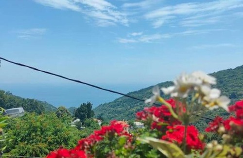 Makrirrakhi Apartment | Hara's House Pelion