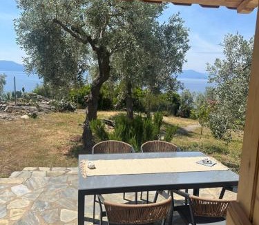 Afissos House | Haus im Olivenhain direkt am Meer