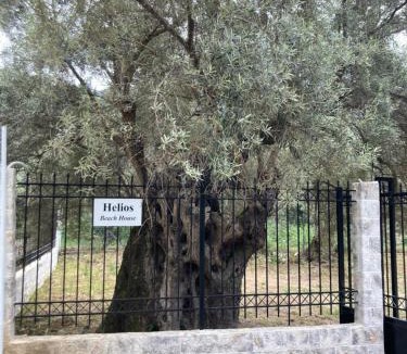 Mikros Gialos House | Helios Beach House