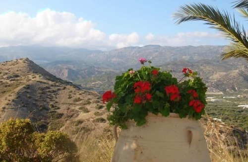 Myrtos House | Holiday house Myrtos for 12 - 18 persons with 6 bedrooms - Row house