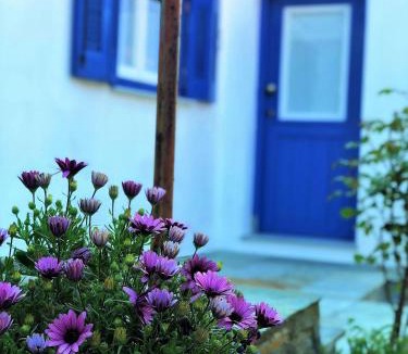 Horto House | HORTO HOUSE