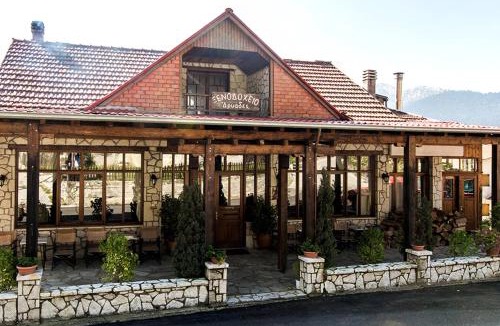 Elati Hotel | Hotel Dryades