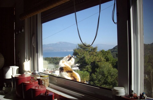 Katakali House | In the center of Ancient Greece and Saronic sea