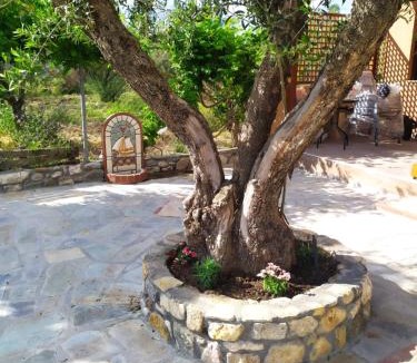 Ormos Panagias House | Ioannis Stagkonis House 2
