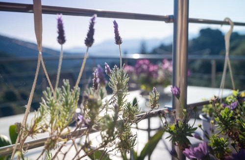 Bapiolos House | Iris Cretan Mountain Escape