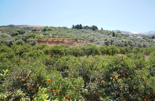 Agia Apartment | Joanna apt - Home near city