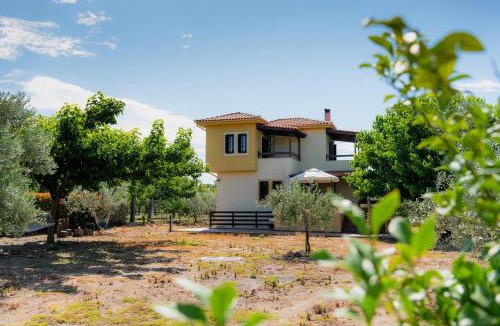 Artemida House | Karavos Grove