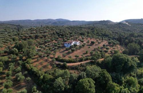 Aipeia House | Kochýli