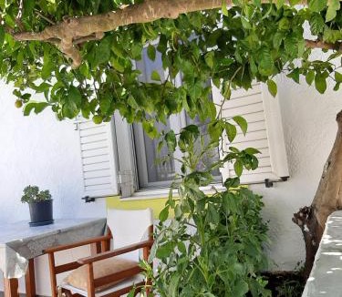 Sitia Apartment | Lemon Garden 2
