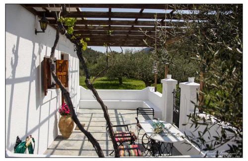 Aperio House | Liodentro House