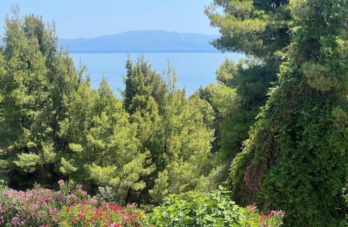Kriopigi Villa | Little paradise by the sea