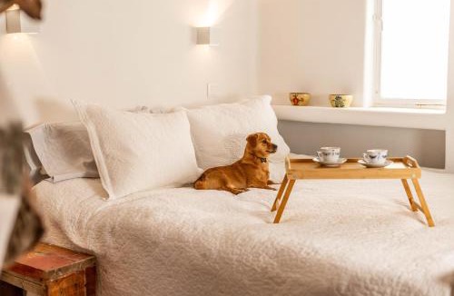 Limni Vouliagmenis House | Maison De Yaya at Heraion Lagoon