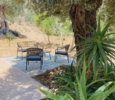 Agia Galini House | Meer an Oliven