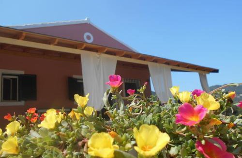Dafnata House | Myrto's House