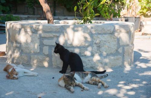 Heraklion Apartment | New Apt Close to Medical Center with Garden