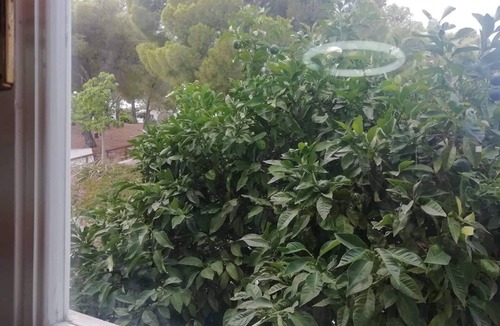 Spetses Apartment | Nice House With sea View in Spetses, Greece