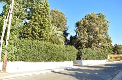 Kounavi Villa | ΝΙRΑSΤΕRΟ - The house in the trees