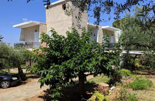 Lefktron Apartment | Oasis Apartments