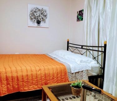Dafni Apartment | One bedroom apartment