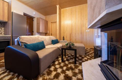 Metsovo House | Pefkos House