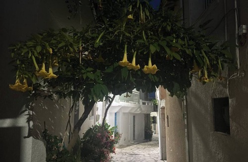 Lassithi Prefecture House | Petra - Peaceful mountain retreat in Kalamafka Crete