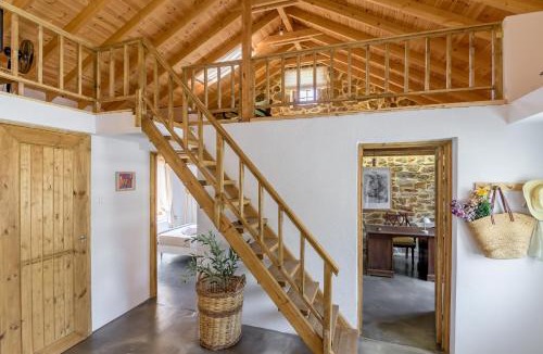Avas Ski Chalet | Plismoní