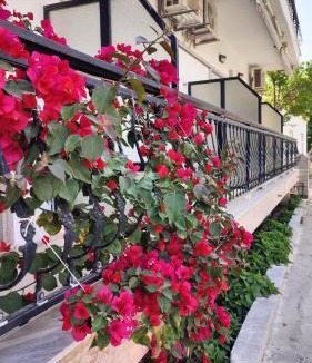 Skala Prinou House | Prinos Mare