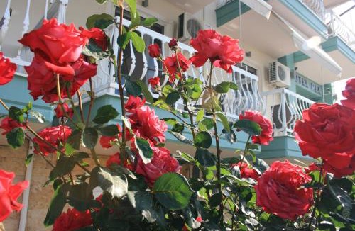 Katerini Hotel | Rea Hotel