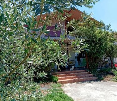 Pamvotida Apartment | Rural hοuse