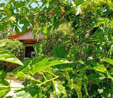 Pamvotida Apartment | Rural hοuse