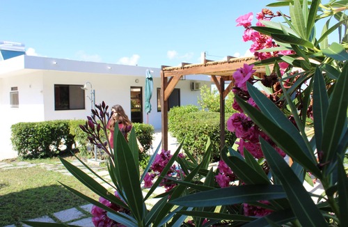 Salakos House | Salakos Mountain View Home