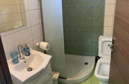 Sane House | SANI Green K2